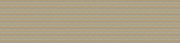 什么是魚絲帶？